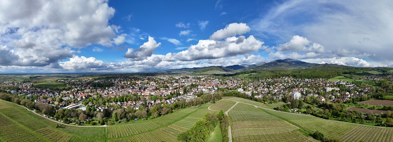 Panorama 1